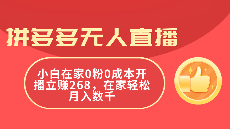 （11521期）拼多多无人直播，小白在家0粉0成本开播立赚268，在家轻松月入数千-艾科轻创网