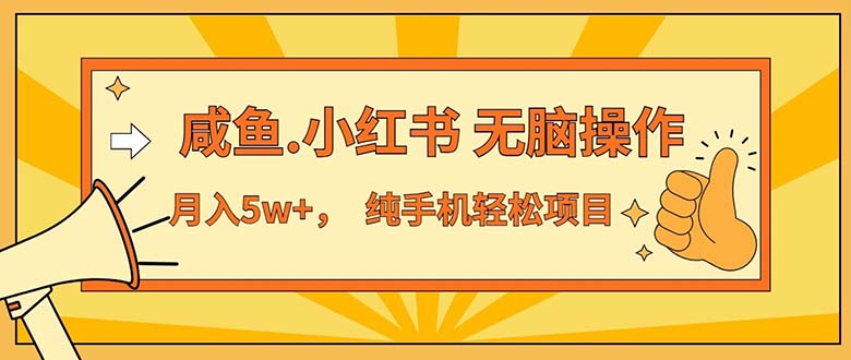 （11524期）2024最赚钱的项目，咸鱼，小红书无脑操作，每单利润500+，轻松月入5万+…-艾科轻创网