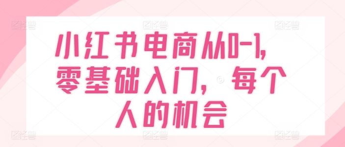 小红书电商从0-1，零基础入门，每个人的机会-艾科轻创网