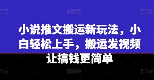 小说推文搬运新玩法，小白轻松上手，搬运发视频让搞钱更简单-艾科轻创网