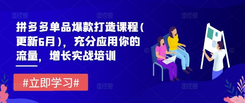 拼多多单品爆款打造课程(更新6月)，充分应用你的流量，增长实战培训-艾科轻创网
