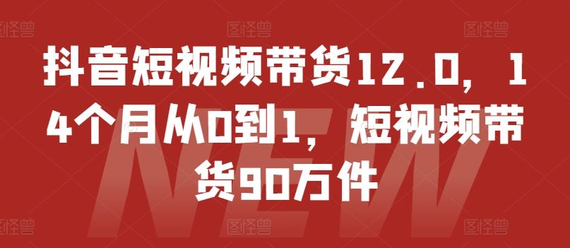 抖音短视频带货12.0，14个月从0到1，短视频带货90万件-艾科轻创网