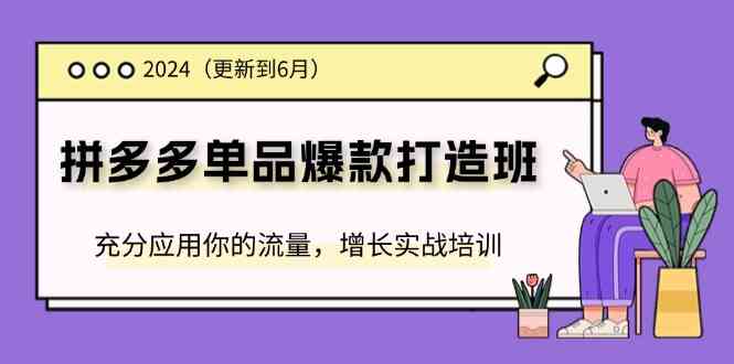 2024拼多多单品爆款打造班，充分应用你的流量，增长实战培训(更新6月)-艾科轻创网