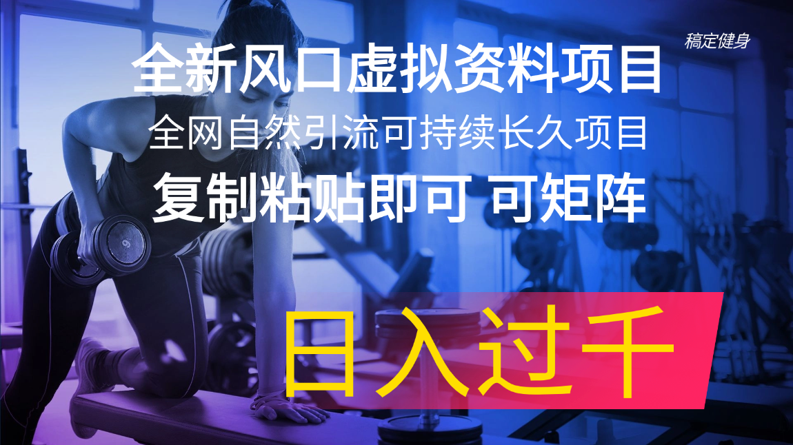（11587期）全新风口虚拟资料项目 全网自然引流可持续长久项目 复制粘贴即可可矩阵…-艾科轻创网