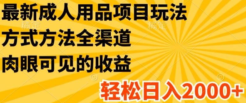最新成人用品项目玩法，方式方法全渠道，轻松日入2K+【揭秘】-艾科轻创网