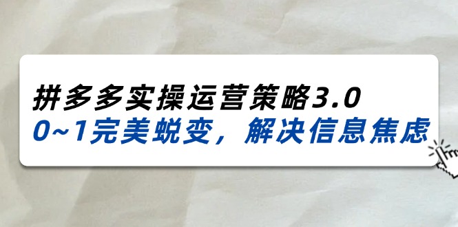 （11658期）2024_2025拼多多实操运营策略3.0，0~1完美蜕变，解决信息焦虑（38节）-艾科轻创网