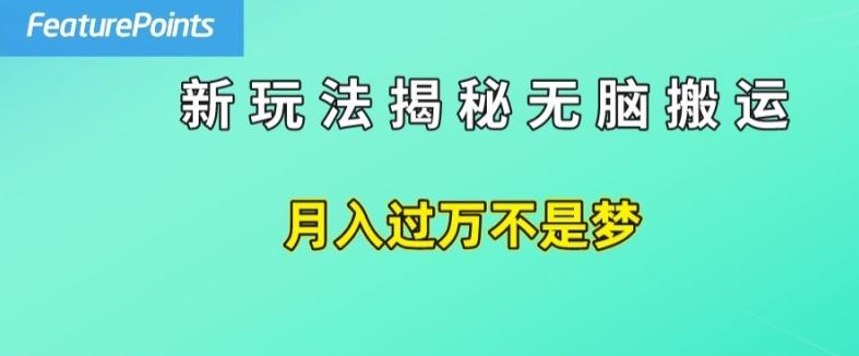 简单操作，每天50美元收入，搬运就是赚钱的秘诀【揭秘】-艾科轻创网