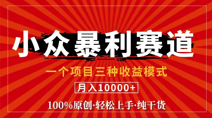 （11695期）视频号【中老年粉深信不疑】小众赛道 100%原创 手把手教学 新号3天收益…-艾科轻创网