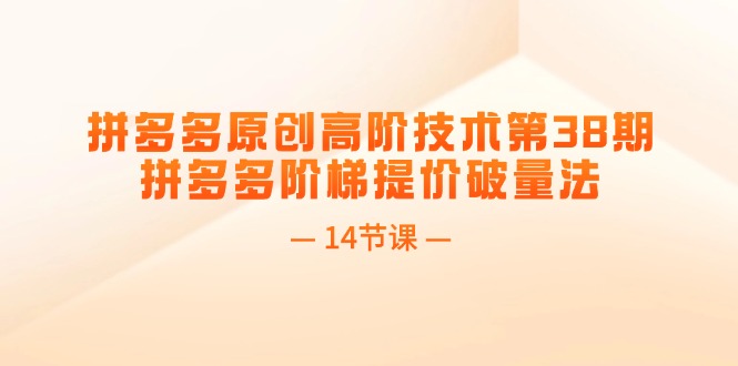 （11704期）拼多多原创高阶技术第38期，拼多多阶梯提价破量法（14节课）-艾科轻创网