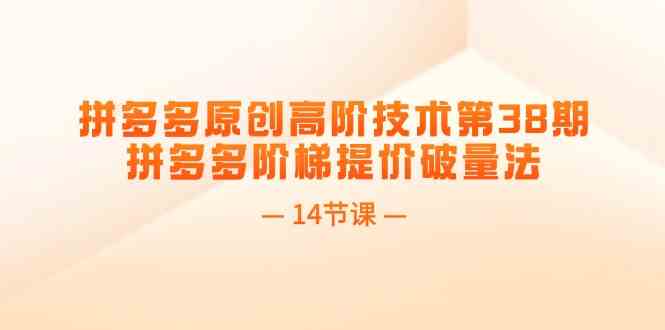 拼多多原创高阶技术第38期，拼多多阶梯提价破量法（14节课）-艾科轻创网