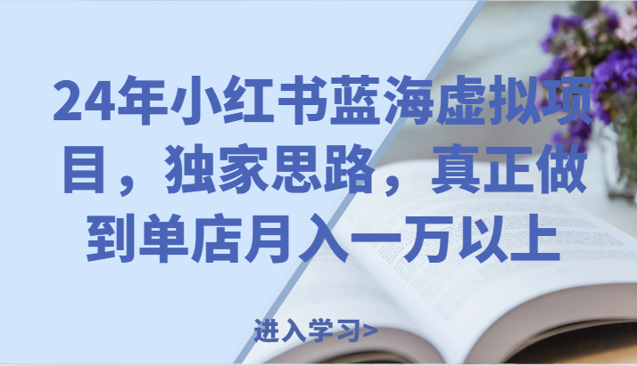 24年小红书蓝海虚拟项目，独家思路，真正做到单店月入一万以上。-艾科轻创网