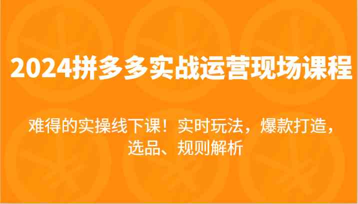 2024拼多多实战运营现场课，实时玩法，爆款打造，选品、规则解析，难得的实操线下课！-艾科轻创网