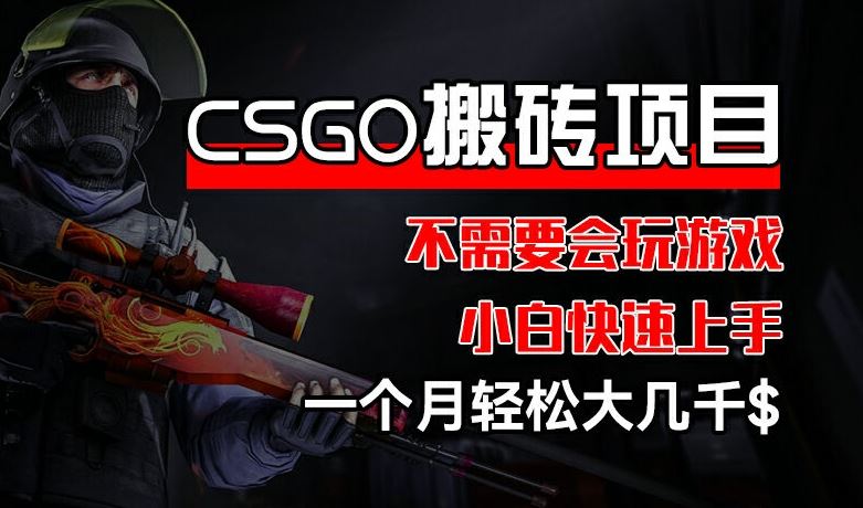 CSGO 装备搬砖项目，操作简单，不需要会玩游戏，小白也能快速上手，一个月轻松大几千【揭秘】-艾科轻创网