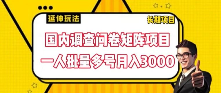 国内调查问卷矩阵项目，一人批量多号月入3000【揭秘】-艾科轻创网