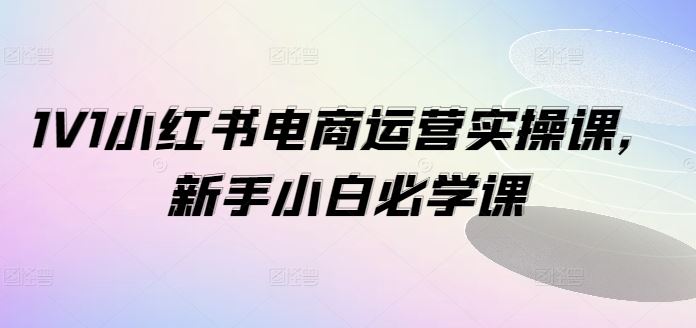 1V1小红书电商运营实操课，新手小白必学课-艾科轻创网