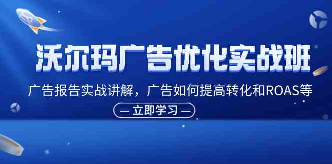 沃尔玛广告优化实战班，广告报告实战讲解，广告如何提高转化和ROAS等-艾科轻创网