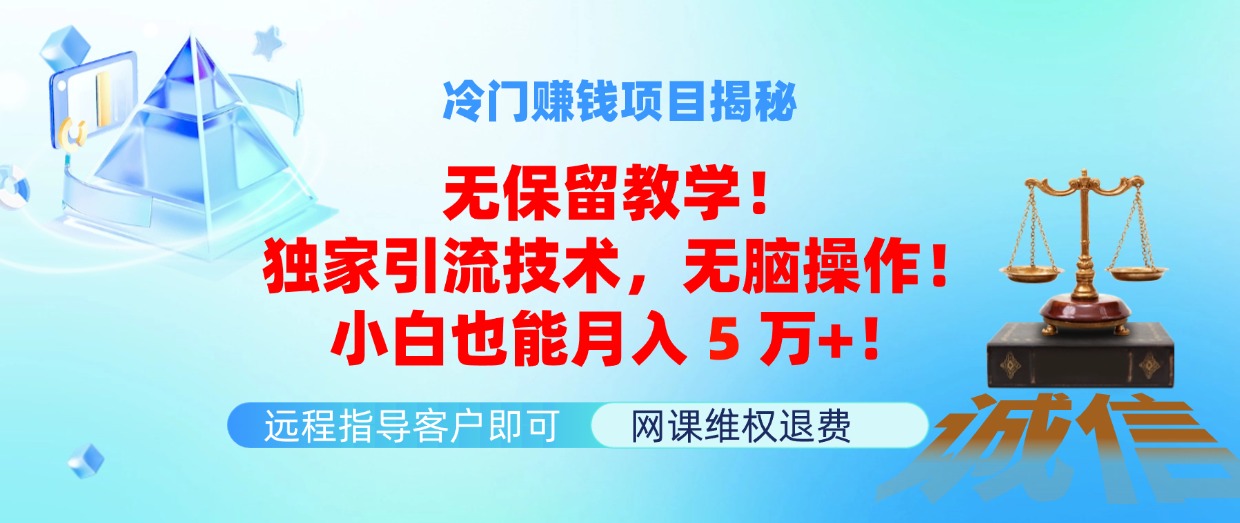 （11864期）冷门赚钱项目无保留教学！独家引流技术，无脑操作！小白也能月入5万+！-艾科轻创网