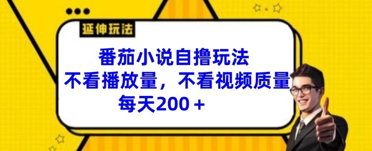 番茄小说自撸玩法，不看播放量，不看视频质量，每天200+【揭秘】-艾科轻创网