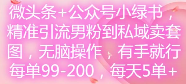 微头条+公众号小绿书，精准引流男粉到私域卖套图，无脑操作，有手就行，每单99-200，每天5单-艾科轻创网