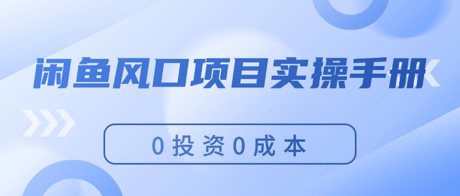（11923期）闲鱼风口项目实操手册，0投资0成本，让你做到，月入过万，新手可做-艾科轻创网