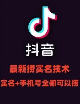 最新技术抖音捞实名+捞手机号技术，抖音直播封禁释放十名/手机号，直接替换出来!-艾科轻创网