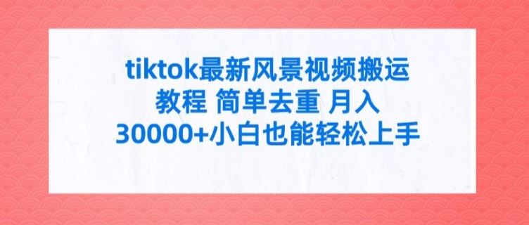 tiktok最新风景视频搬运教程 简单去重 月入3W+小白也能轻松上手【揭秘】-艾科轻创网