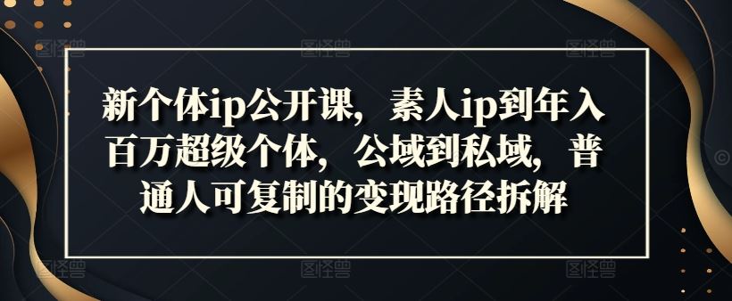 新个体ip公开课，素人ip到年入百万超级个体，公域到私域，普通人可复制的变现路径拆解-艾科轻创网