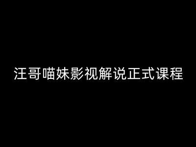汪哥影视解说正式课程：剪映/PR教学/视解说剪辑5大黄金法则/全流程剪辑7把利器等等-艾科轻创网