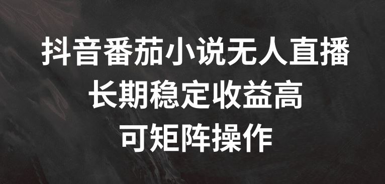 抖音番茄小说无人直播，长期稳定收益高，可矩阵操作【揭秘】-艾科轻创网