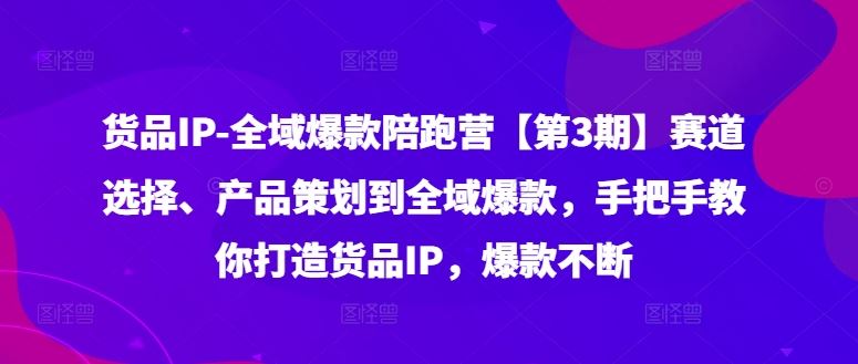 货品IP全域爆款陪跑营【第3期】赛道选择、产品策划到全域爆款，手把手教你打造货品IP，爆款不断-艾科轻创网