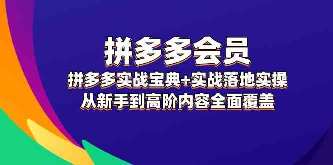 拼多多会员实战宝典+实战落地实操，从新手到高阶内容全面覆盖-艾科轻创网