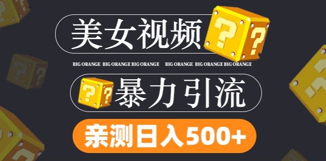 搬运tk美女视频全网分发，日引s粉300+，轻松变现，不限流量不封号-艾科轻创网