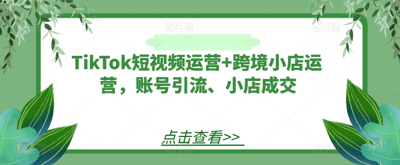 TikTok短视频运营+跨境小店运营，账号引流、小店成交-艾科轻创网