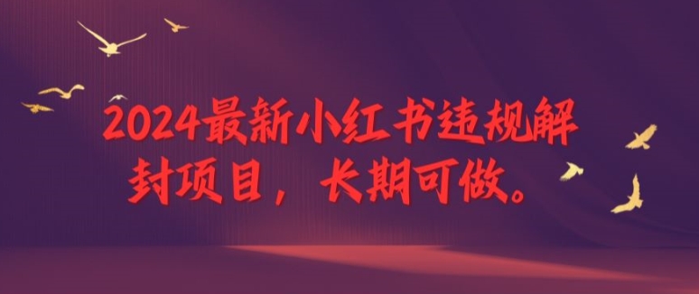 2024最新小红书违规解封项目，长期可做，一个可以做到退休的项目-艾科轻创网