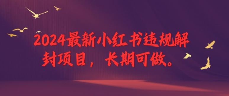2024最新小红书违规解封项目，长期可做，一个可以做到退休的项目【揭秘】-艾科轻创网