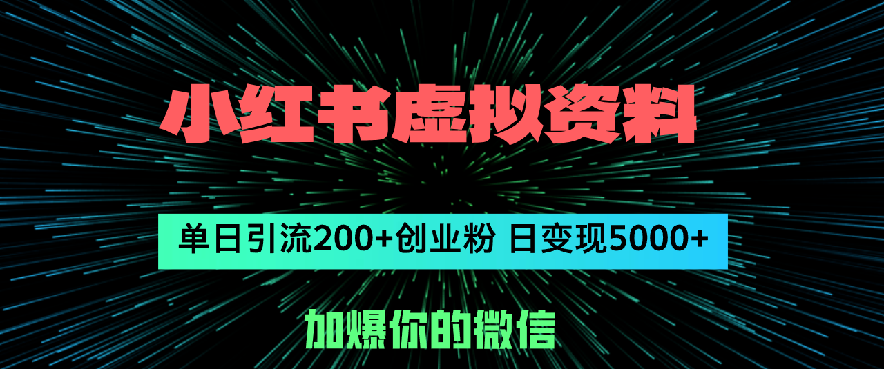 （12164期）小红书虚拟资料日引流200+创业粉，单日变现5000+-艾科轻创网