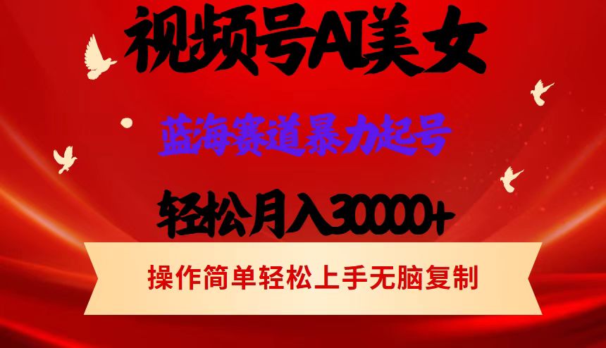 （12178期）视频号AI美女跳舞，轻松月入30000+，蓝海赛道，流量池巨大，起号猛，当…-艾科轻创网