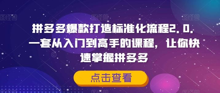 拼多多爆款打造标准化流程2.0，一套从入门到高手的课程，让你快速掌握拼多多-艾科轻创网