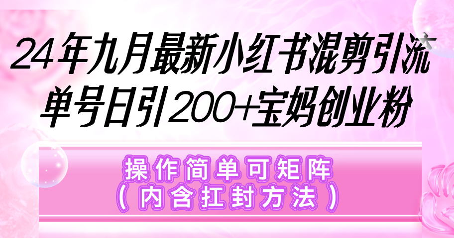 （12530期）小红书混剪引流，单号日引200+宝妈创业粉，操作简单可矩阵（内含扛封…-艾科轻创网