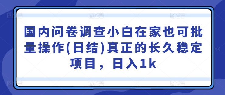 国内问卷调查小白在家也可批量操作(日结)真正的长久稳定项目，日入1k【揭秘】-艾科轻创网