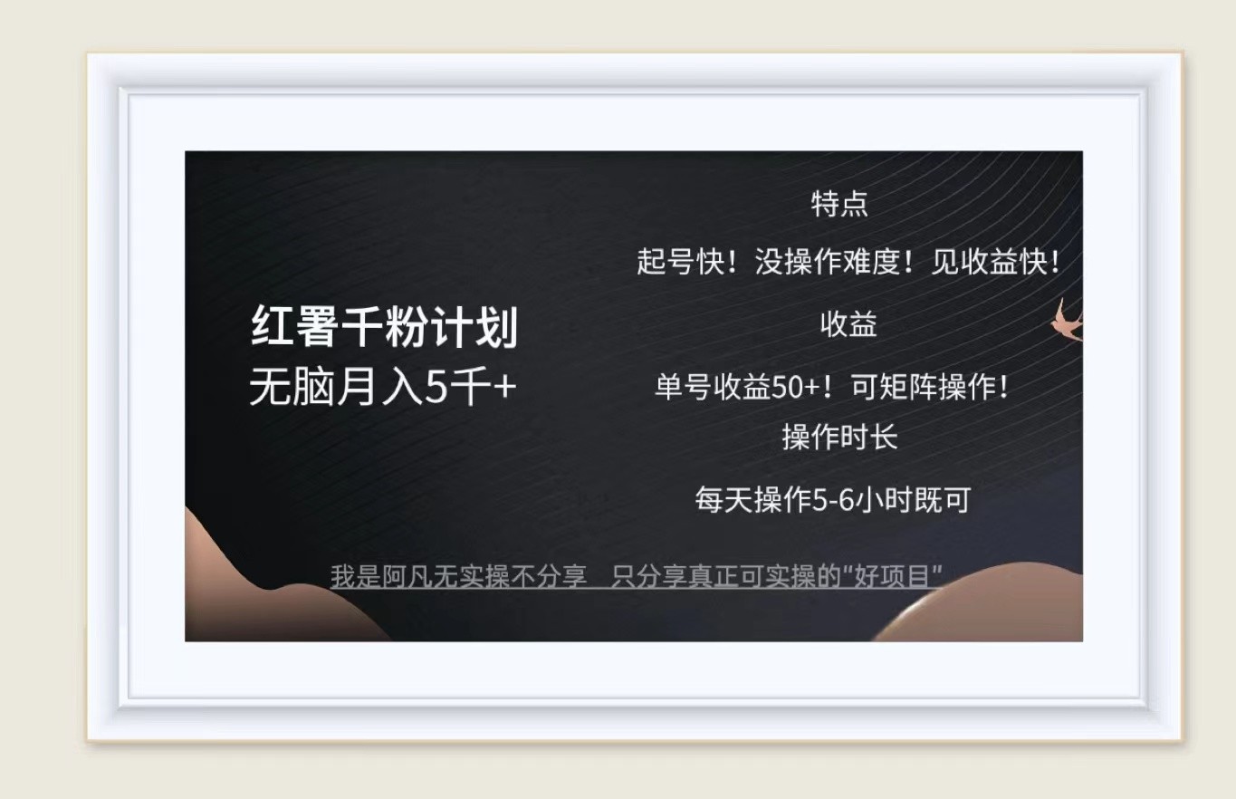 红薯千粉计划无脑月入5千+！既做既赚！-艾科轻创网