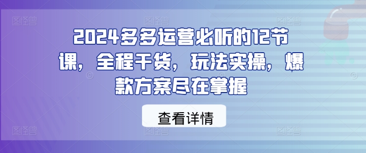 2024多多运营必听的12节课，全程干货，玩法实操，爆款方案尽在掌握-艾科轻创网