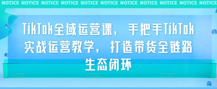 TikTok全域运营课，手把手TikTok实战运营教学，打造带货全链路生态闭环-艾科轻创网