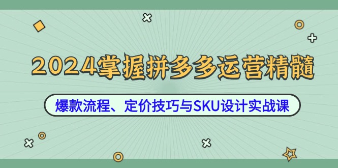 2024掌握拼多多运营精髓：爆款流程、定价技巧与SKU设计实战课-艾科轻创网