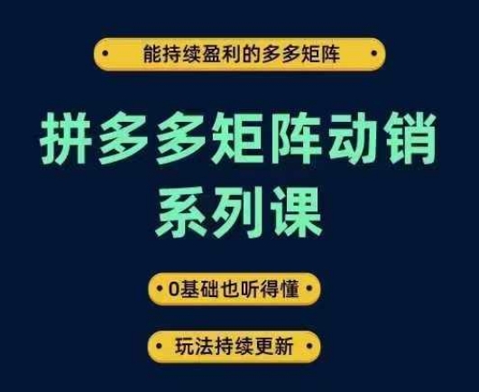 拼多多矩阵动销系列课，能持续盈利的多多矩阵，0基础也听得懂，玩法持续更新-艾科轻创网